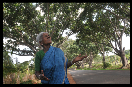 thimmakkaaa